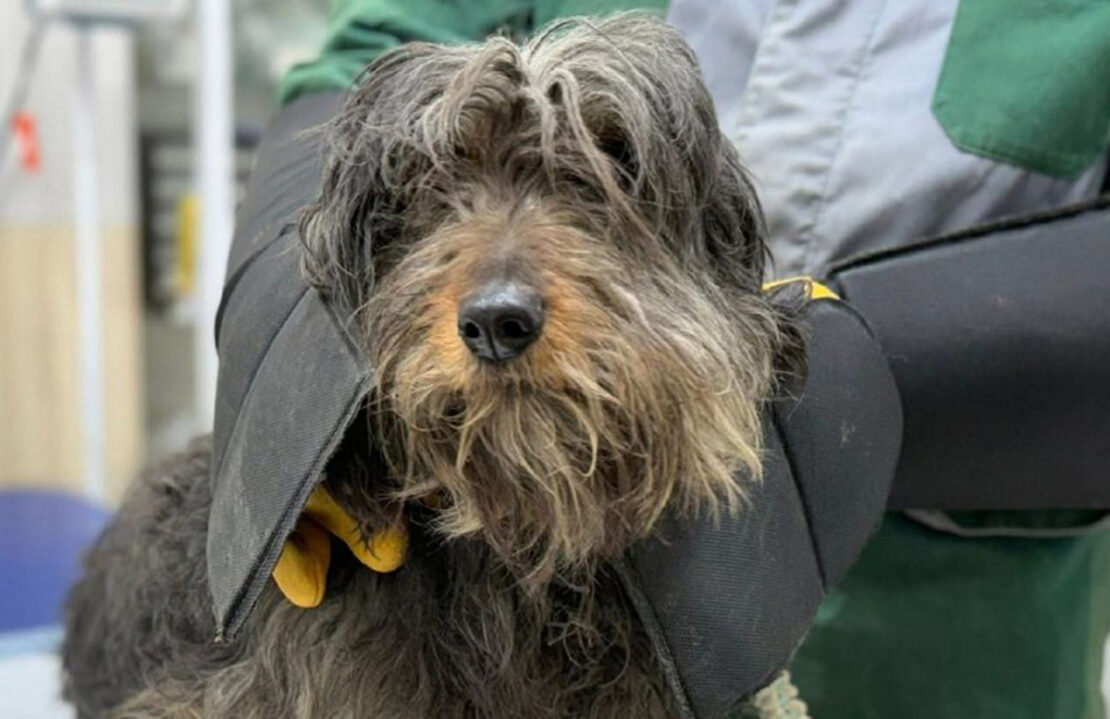 Фото новини