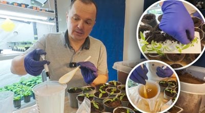 Фото новини