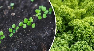 Фото новини