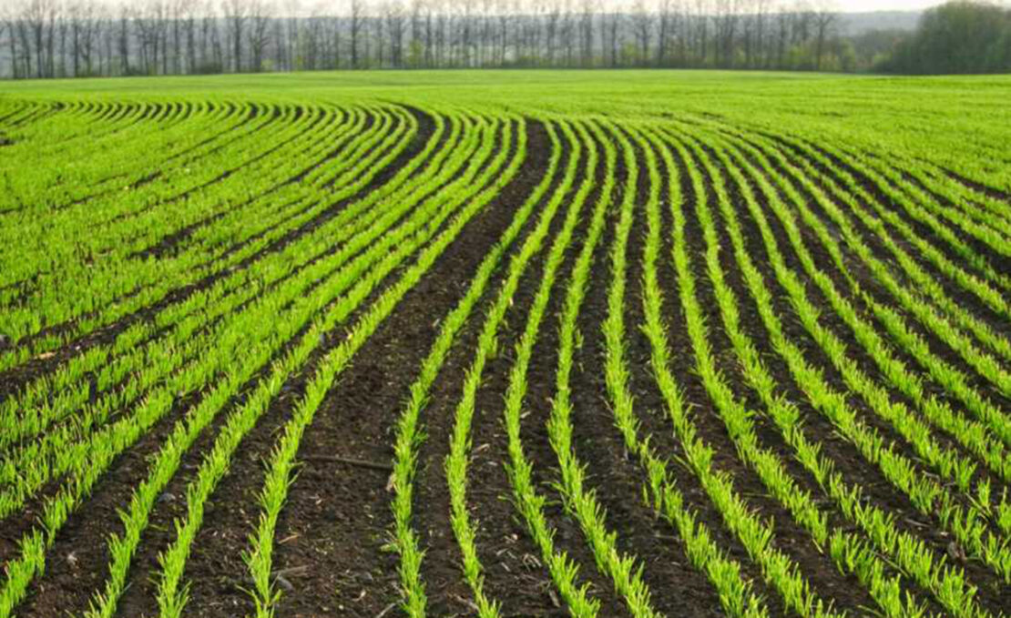 Фото новини