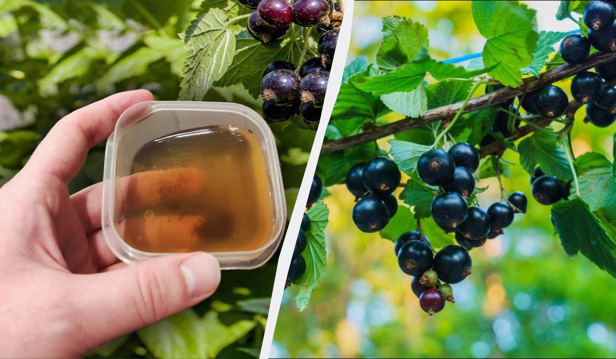 Фото новини