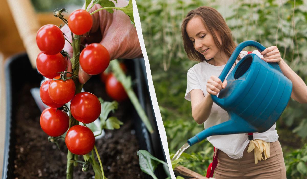 Фото новини