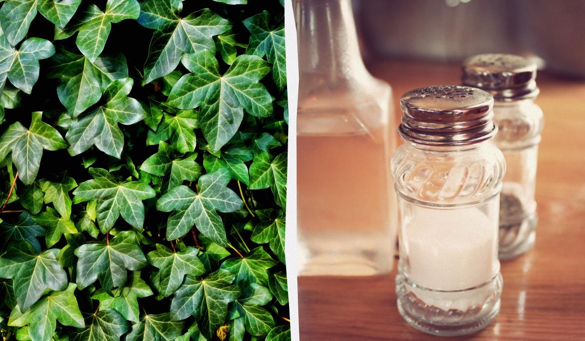 Фото новини