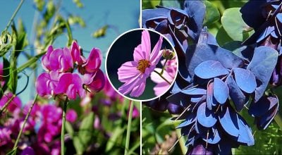 Фото новини