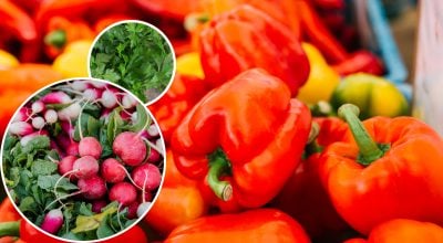 Фото новини