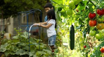 Фото новини