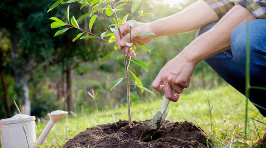 Фото новини