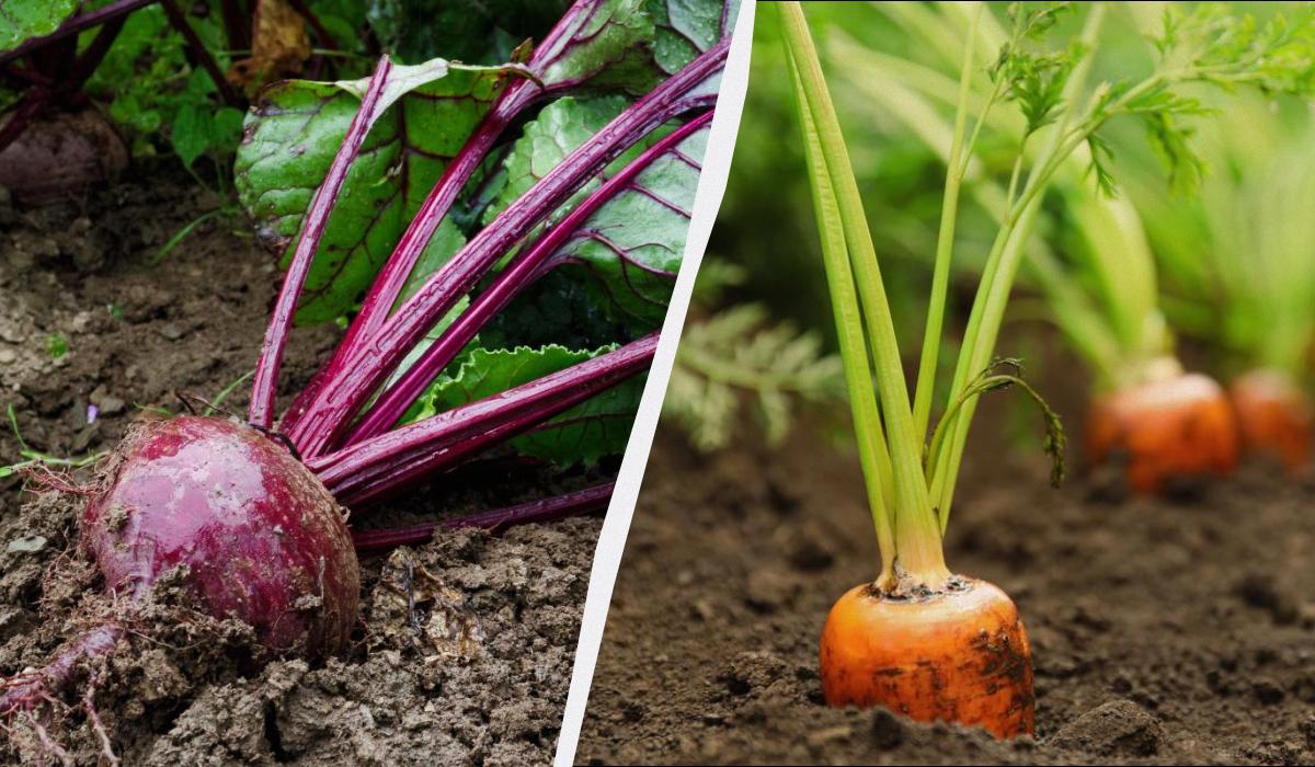 Фото новини