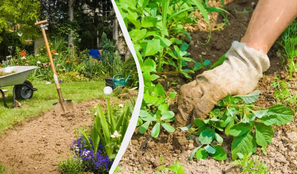 Фото новини