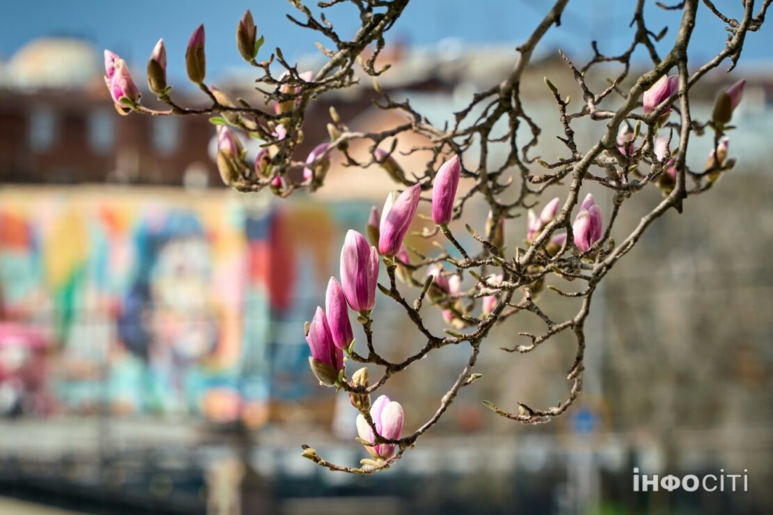 Фото новини