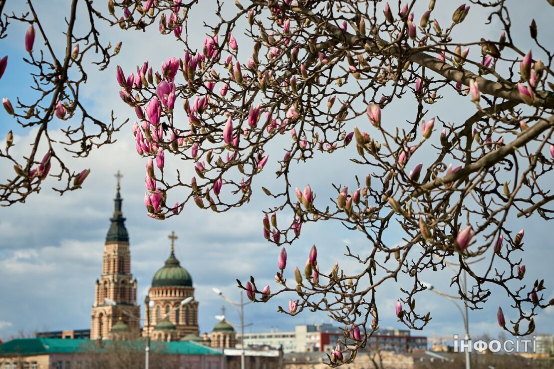 Фото новини