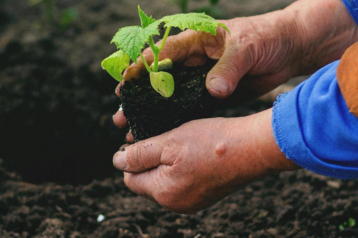 Фото новини