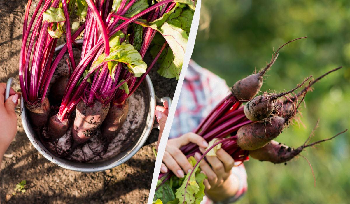 Фото новини