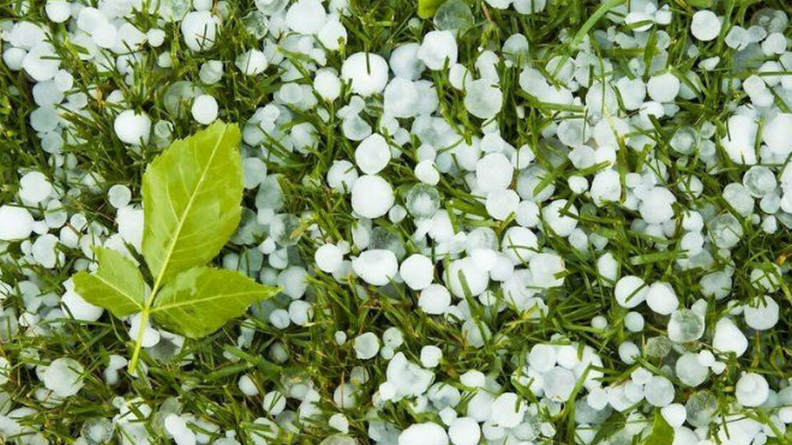 Фото новини