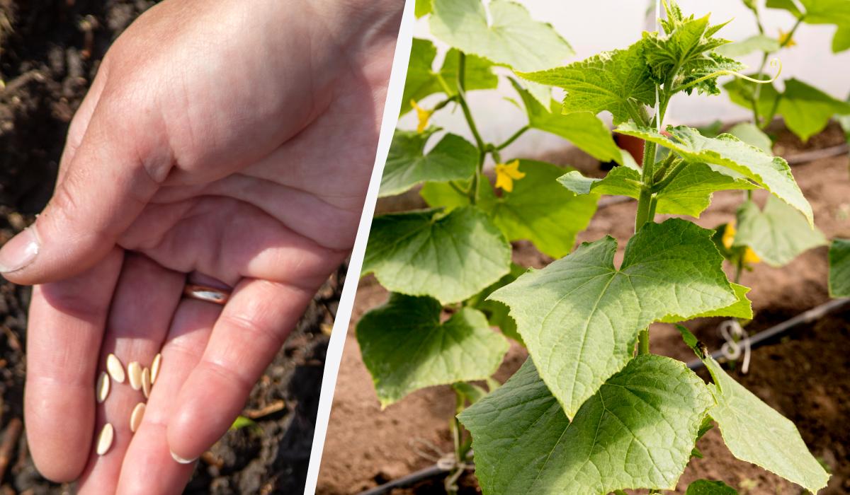 Фото новини