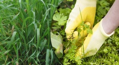 Фото новини