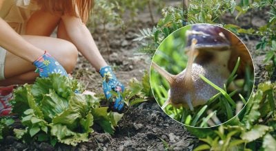 Фото новини