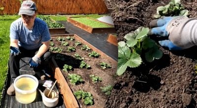 Фото новини