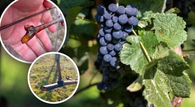 Фото новини