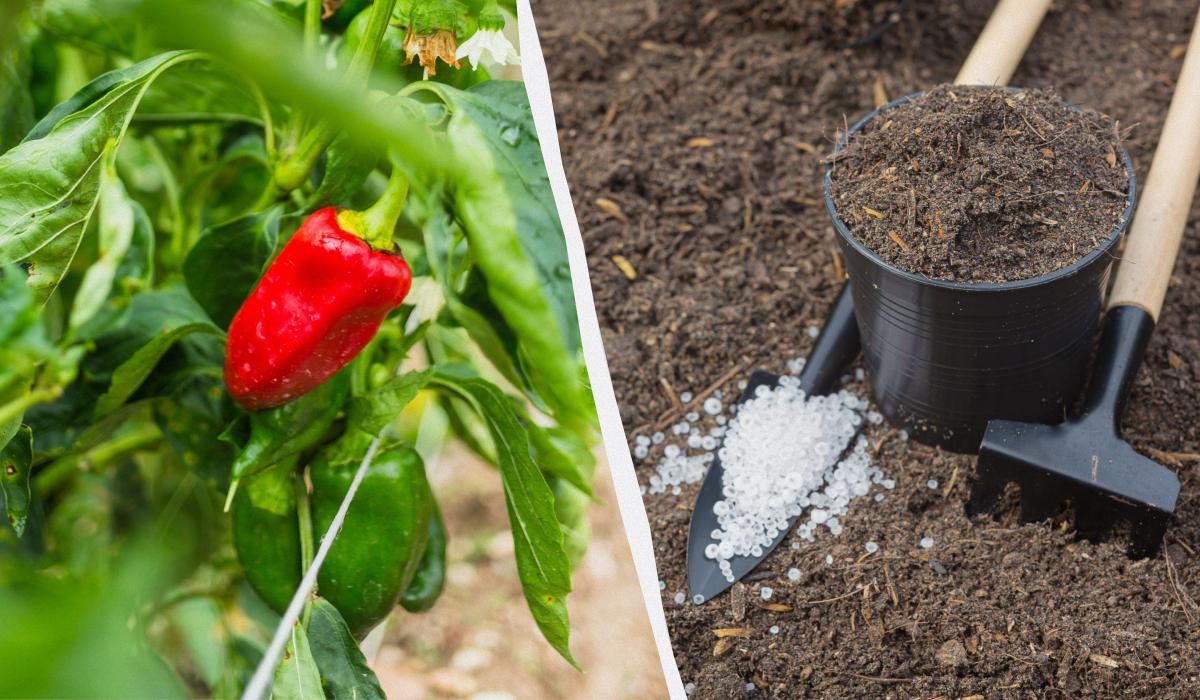 Фото новини