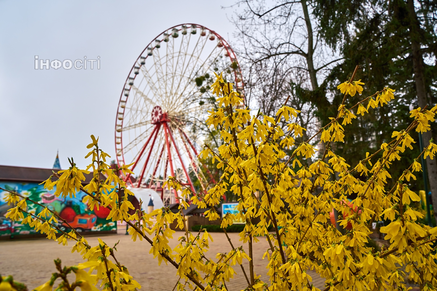 Фото новини