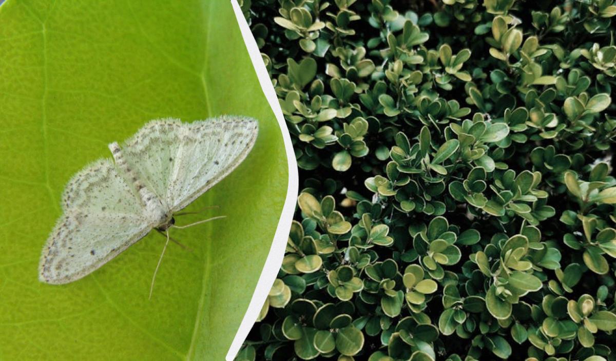 Фото новини