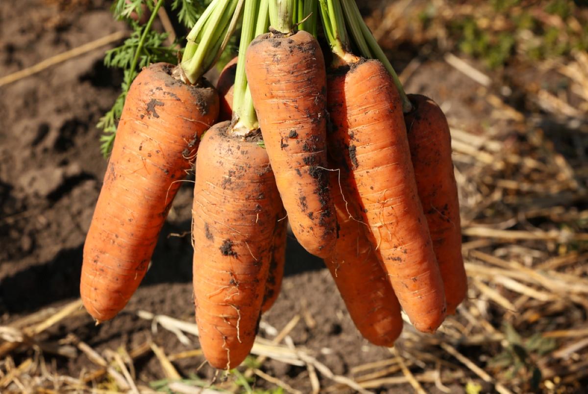 Фото новини