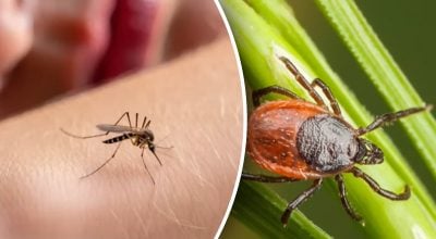 Фото новини