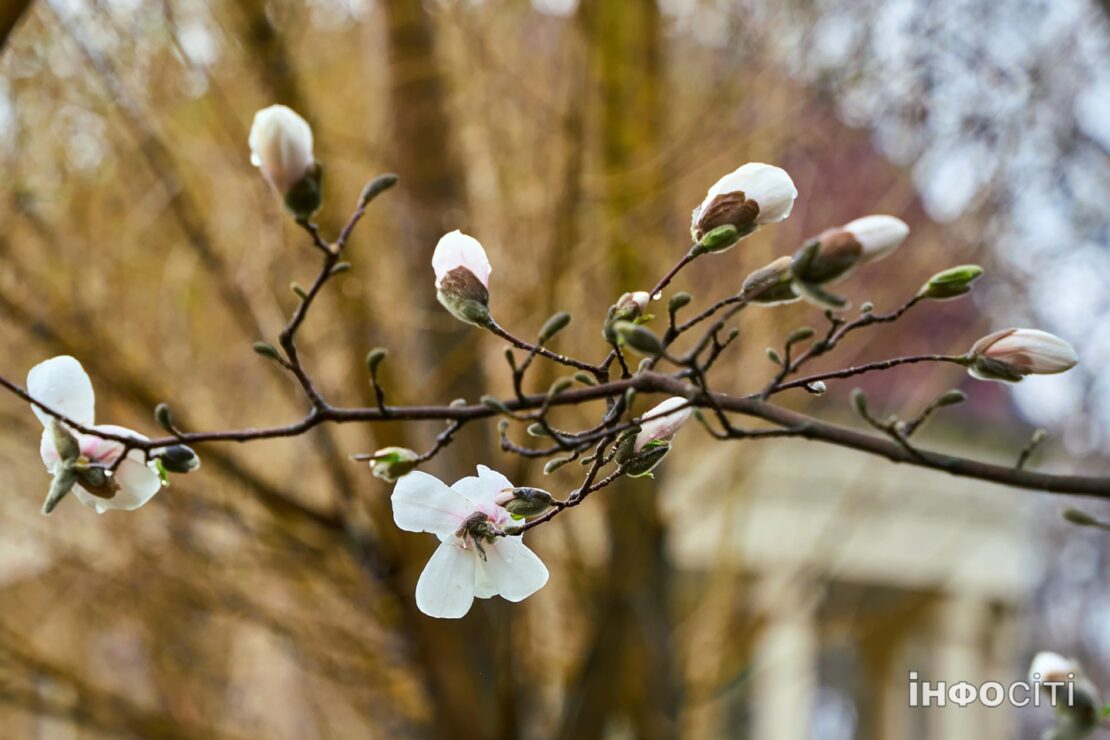 Фото новини