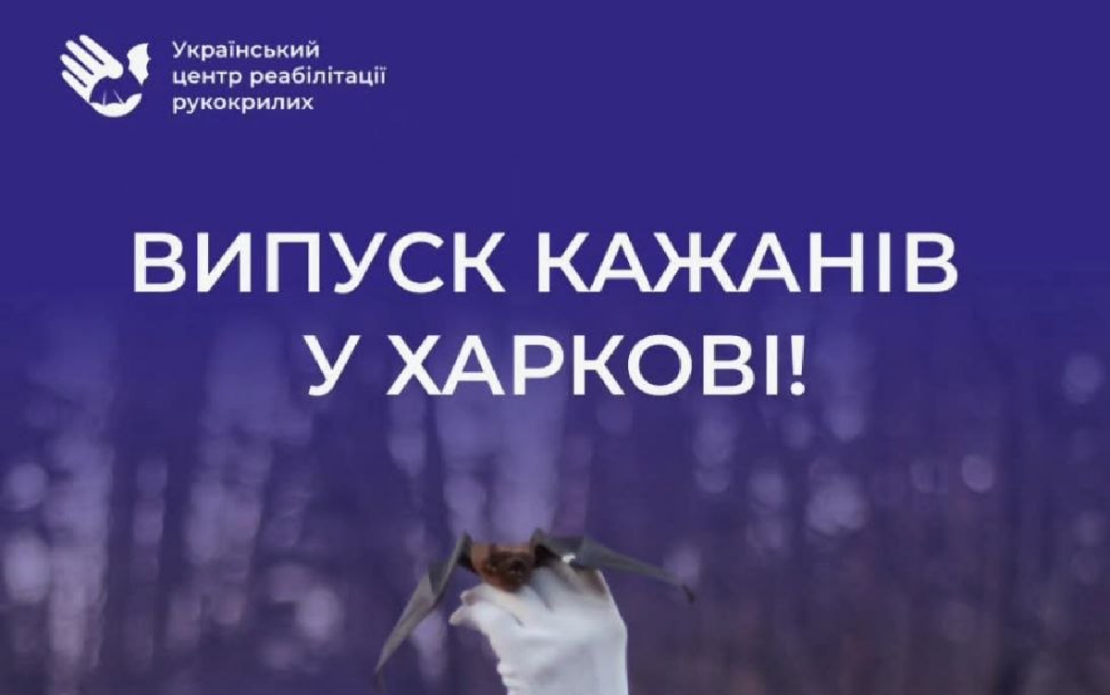 Фото новини