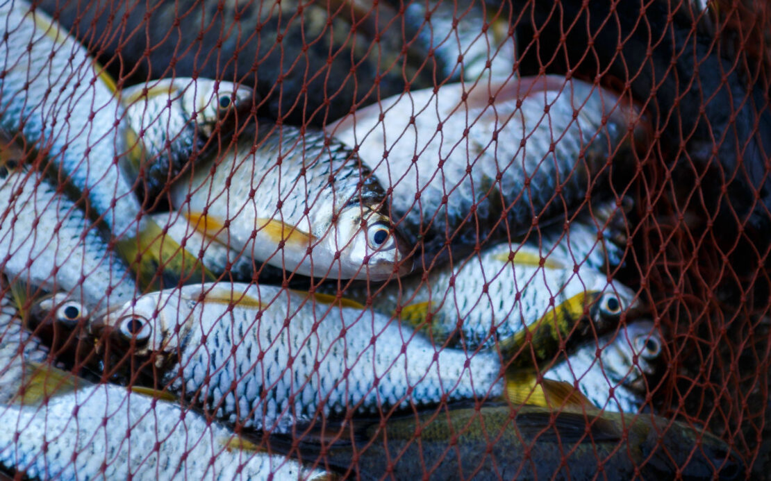 Фото новини