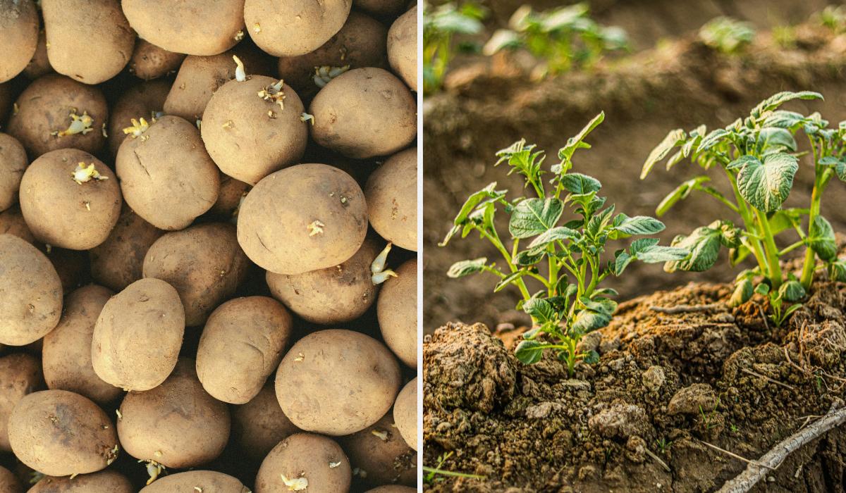 Фото новини