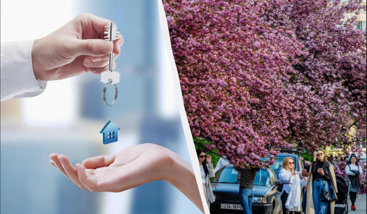 Квартири в Ужгороді дорожчають: скільки просять за житло в найбезпечнішому місті