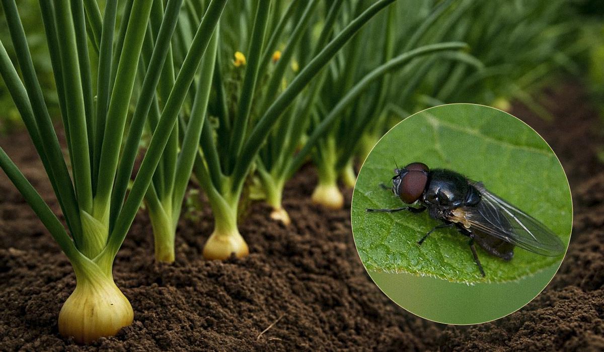 Фото новини