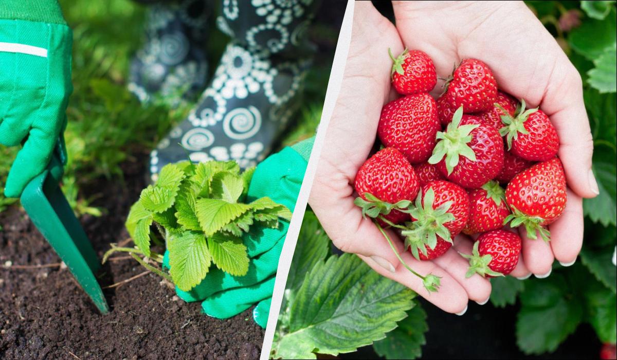 Фото новини