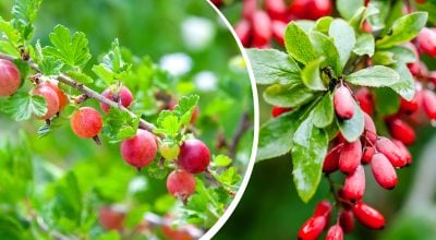 Фото новини