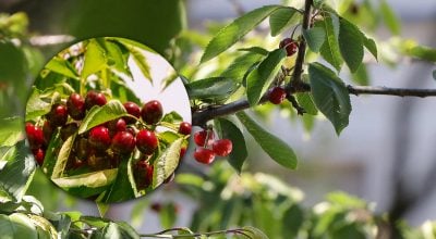 Фото новини