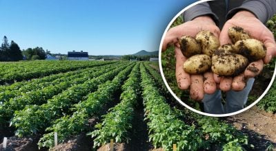 Фото новини