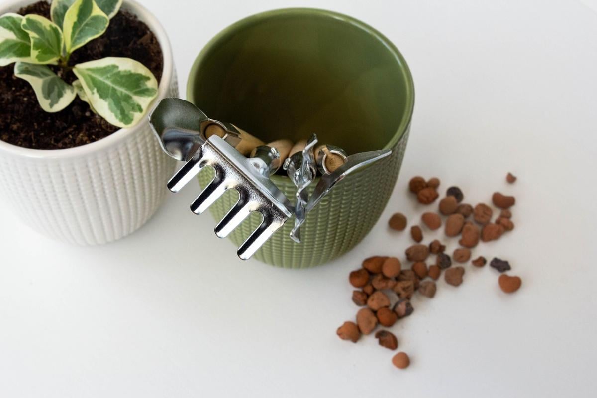 Фото новини