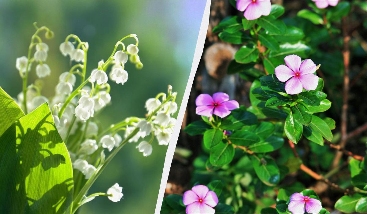 Фото новини