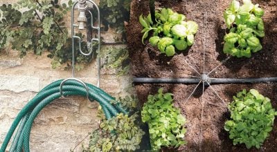 Фото новини