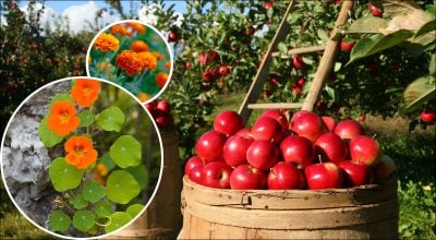 Фото новини