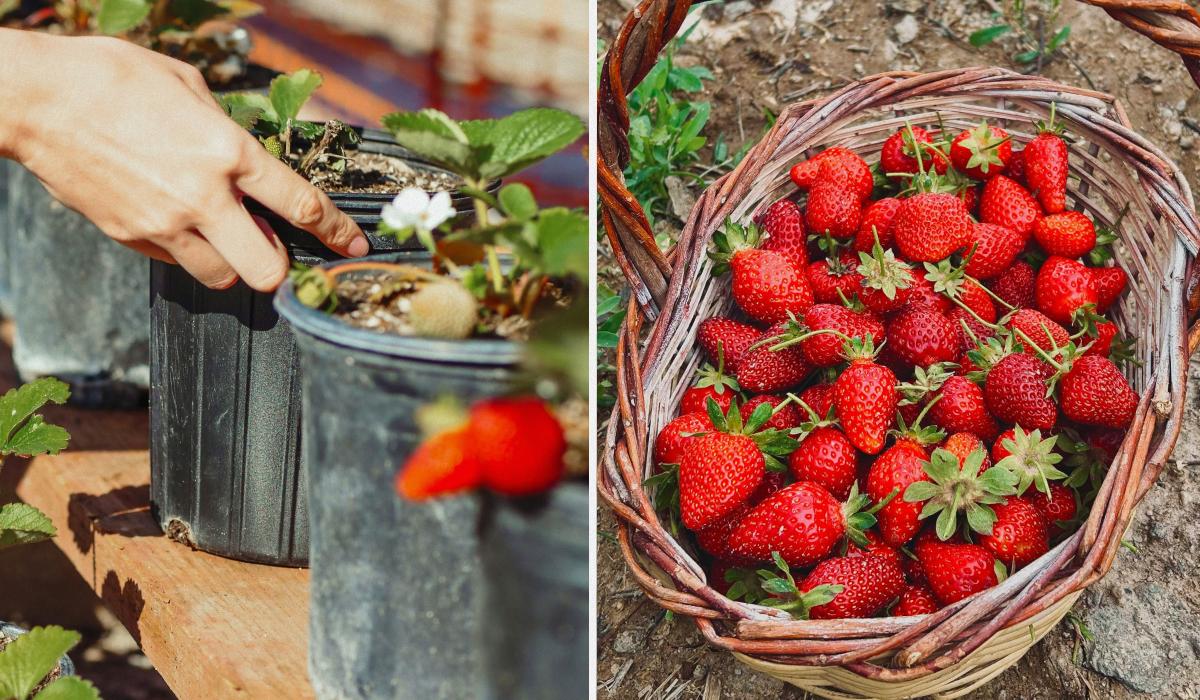 Фото новини