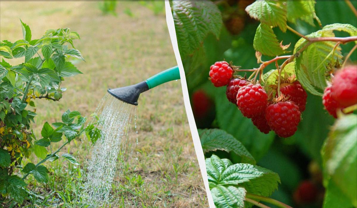 Фото новини