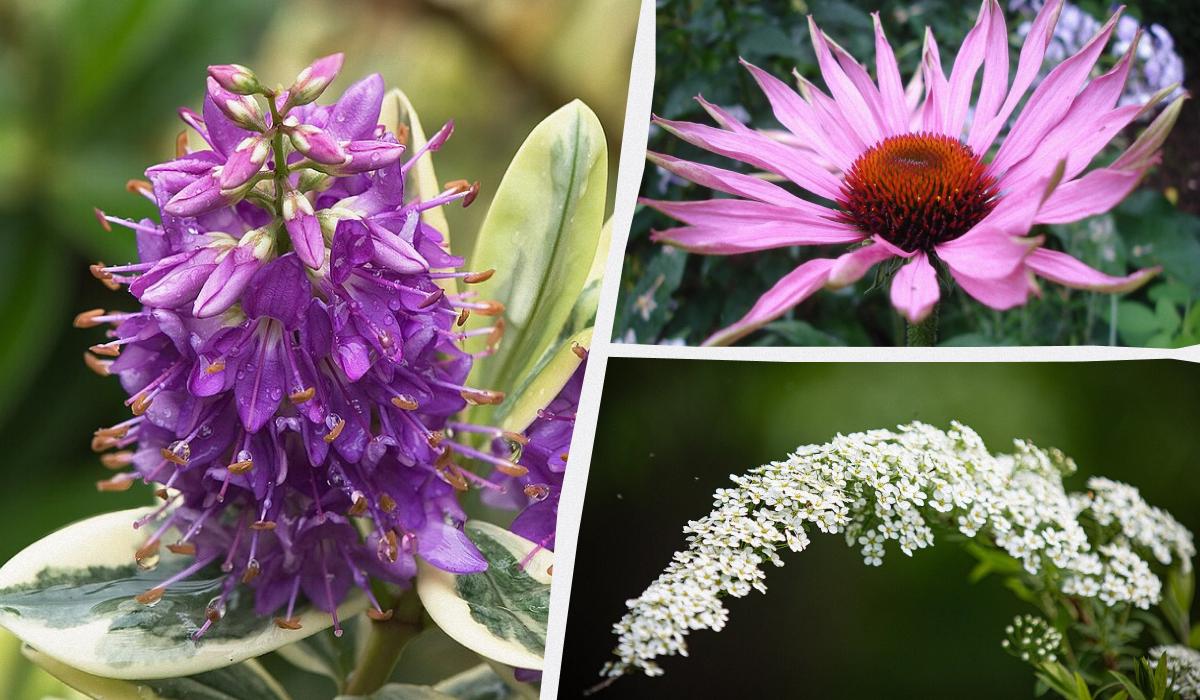 Фото новини