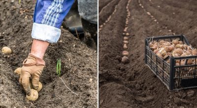 Фото новини