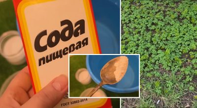 Фото новини