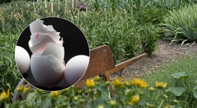 Фото новини