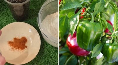 Фото новини