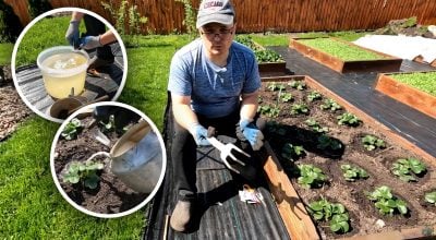 Фото новини